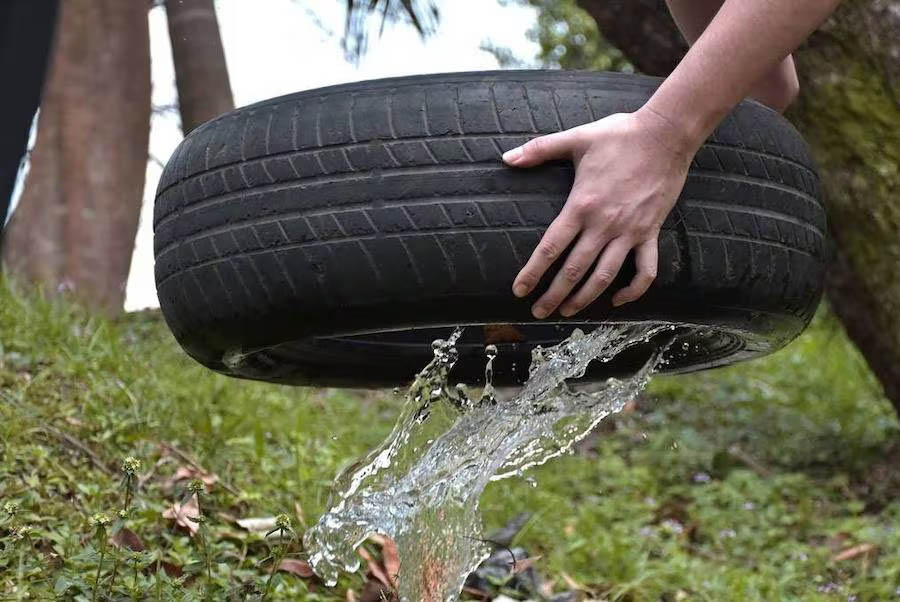 ¡Prevención en verano a través de la eliminación de criaderos!